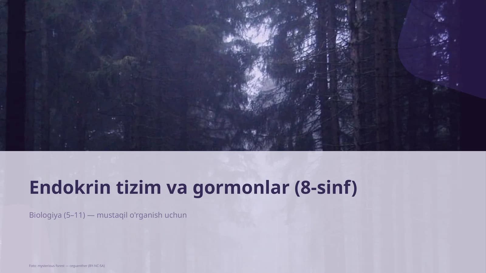 Endokrin tizim va gormonlar (8-sinf)