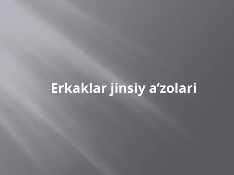Erkaklar jinsiy a’zolari