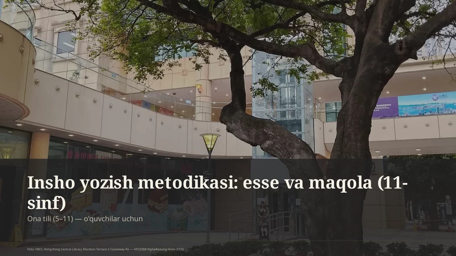 Insho yozish metodikasi: esse va maqola (11-sinf)