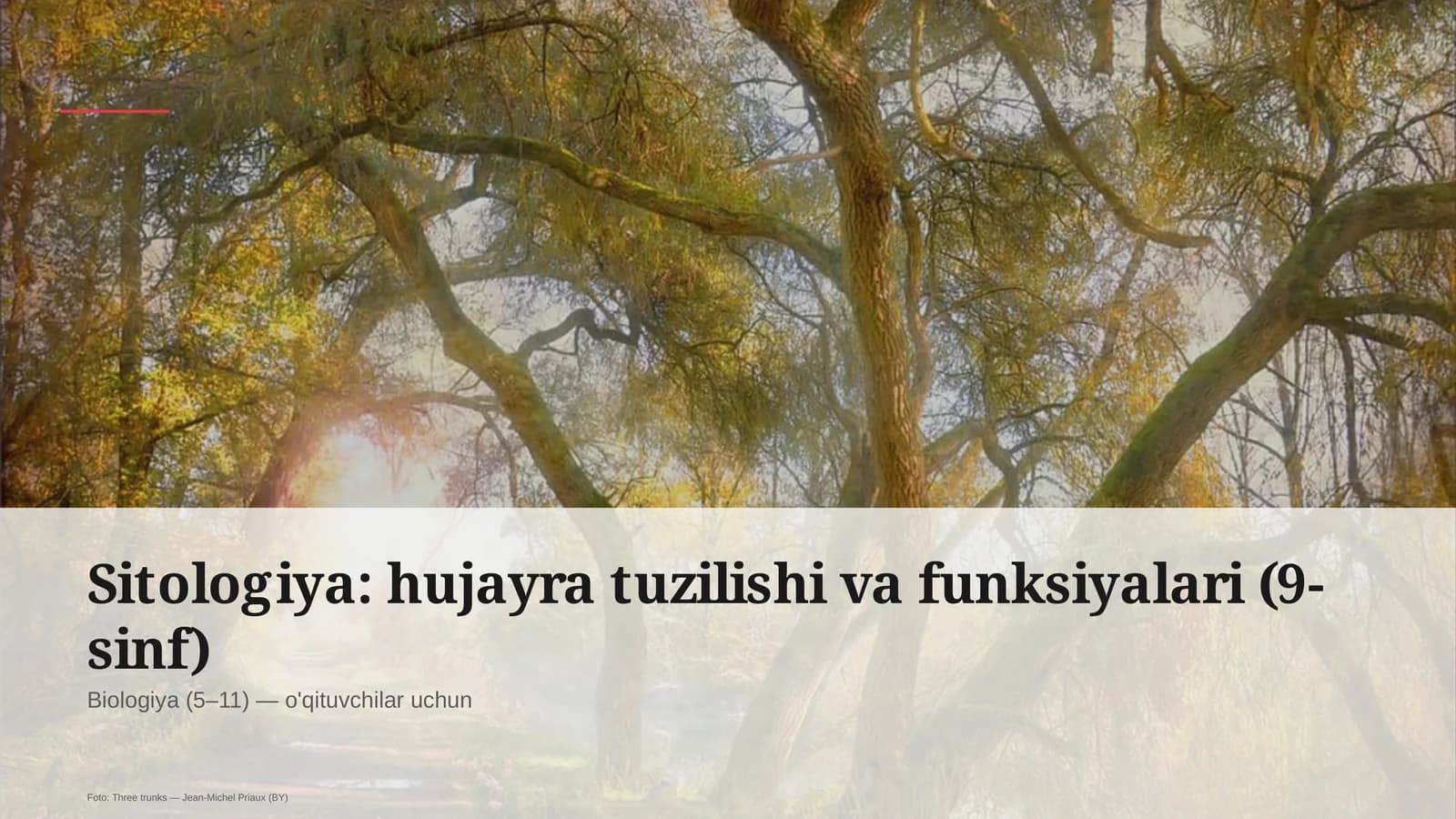 Sitologiya: hujayra tuzilishi va funksiyalari (9-sinf)