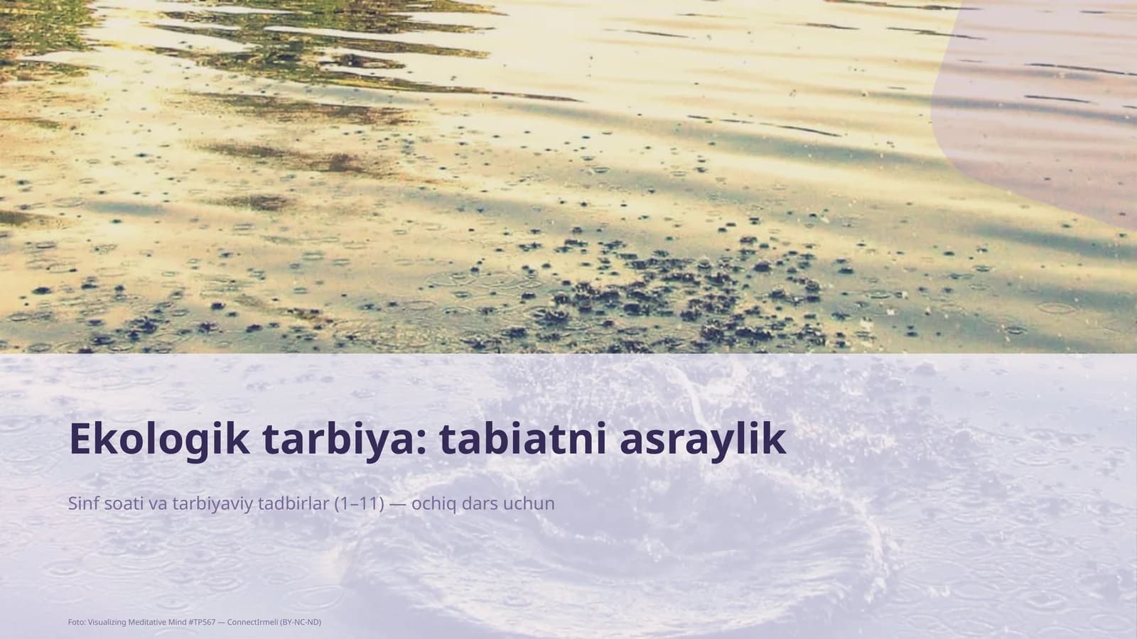 Ekologik tarbiya: tabiatni asraylik