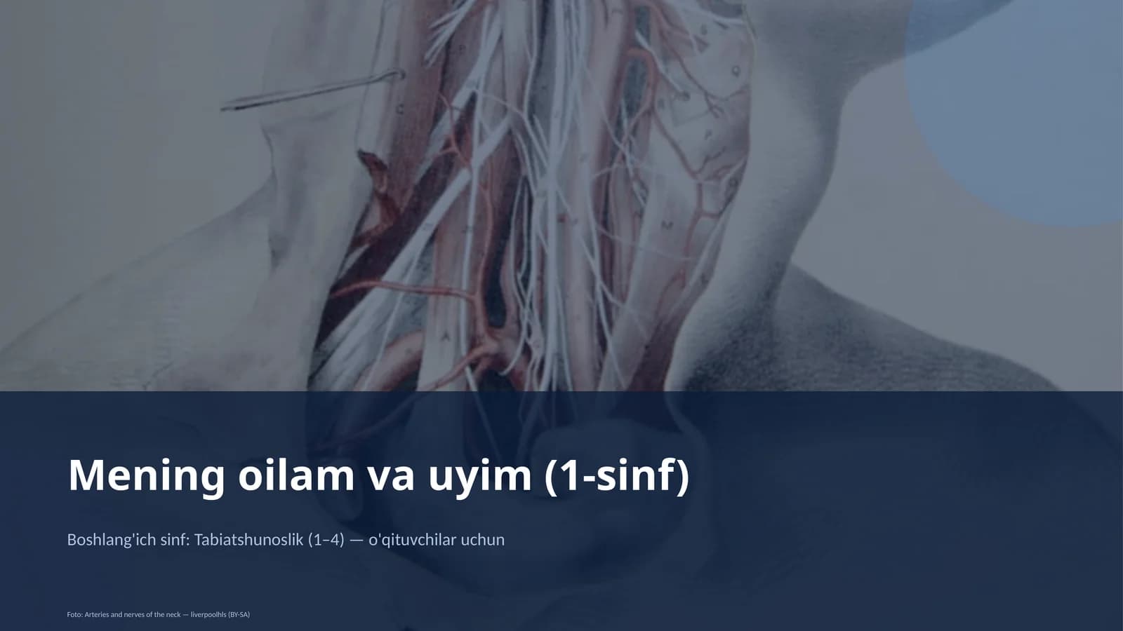Mening oilam va uyim (1-sinf)