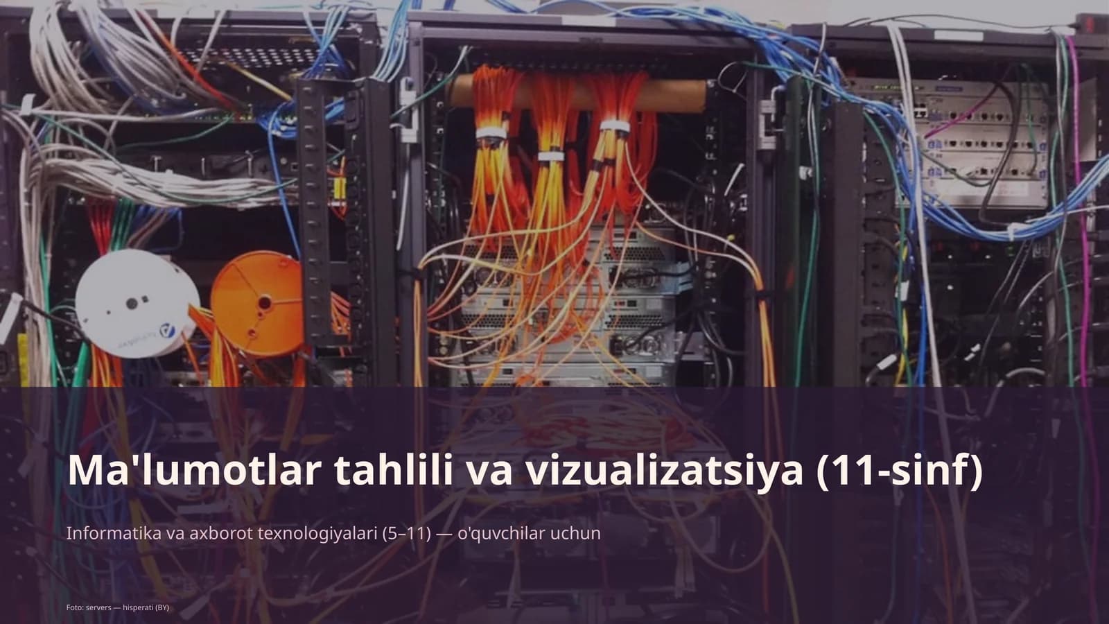 Ma'lumotlar tahlili va vizualizatsiya (11-sinf)