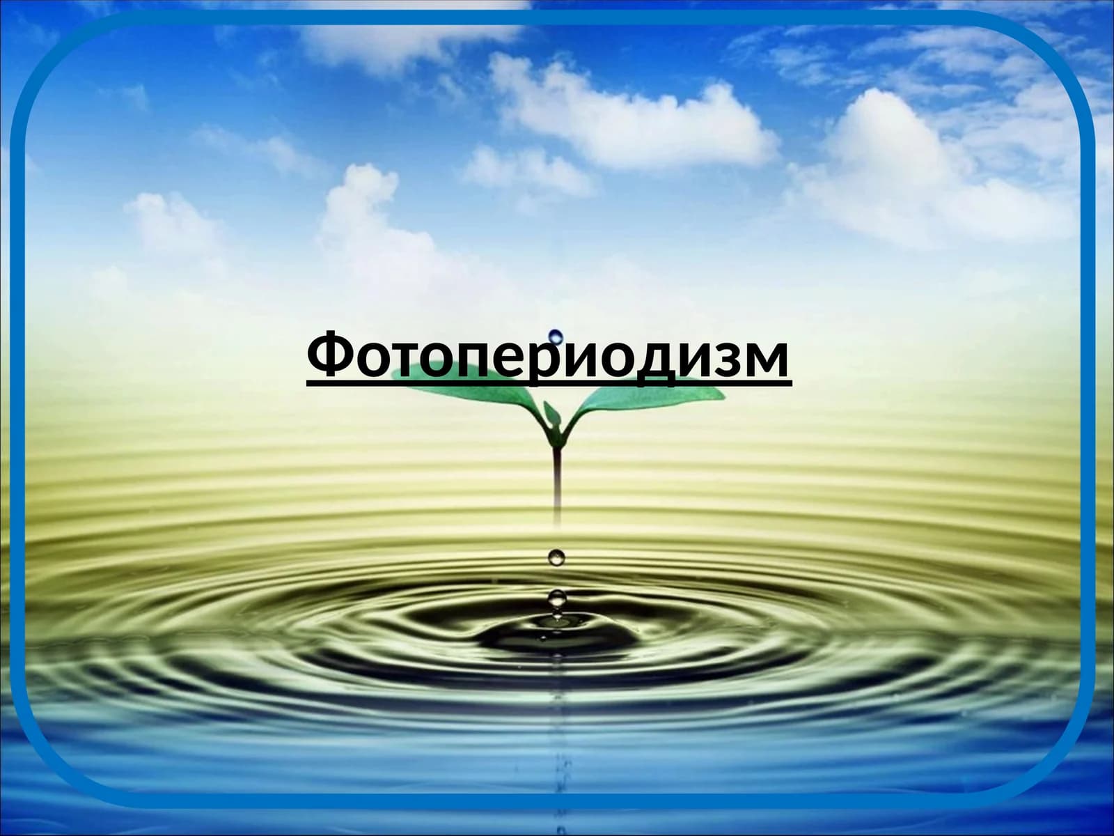 Фотопериодизм