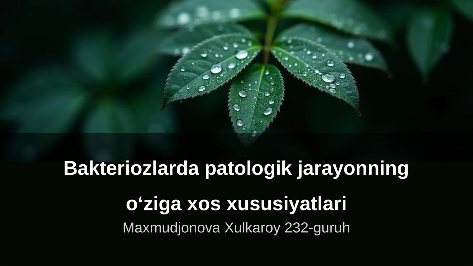 Bakteriozlarda patologik jarayonning o‘ziga xos xususiyatlari