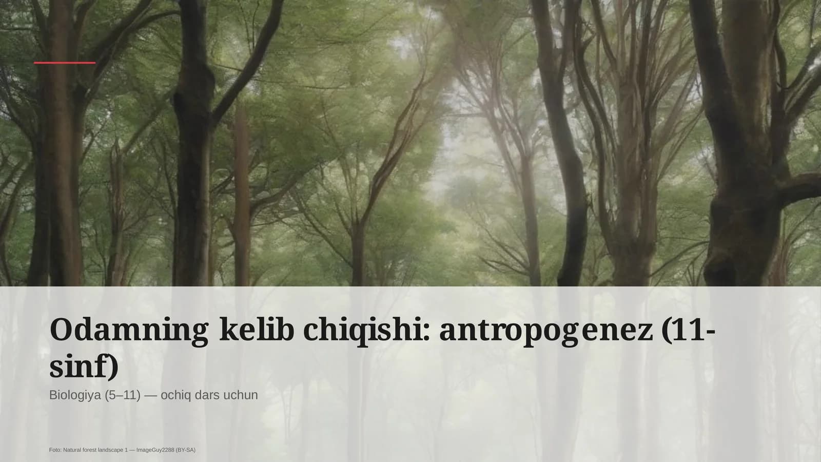 Odamning kelib chiqishi: antropogenez (11-sinf)