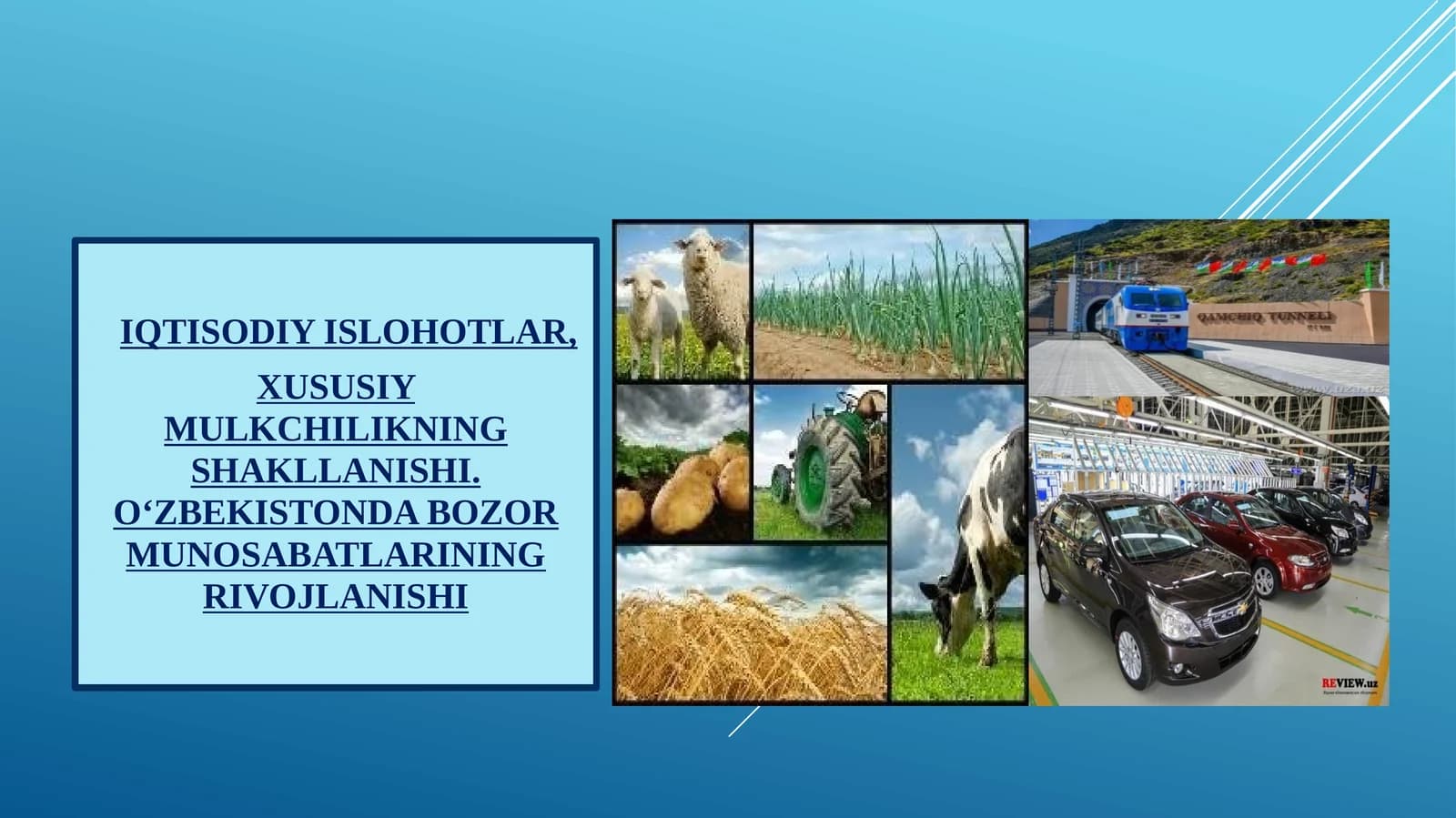 O‘ZBEKISTONDA BOZOR MUNOSABATLARINING RIVOJLANISHI