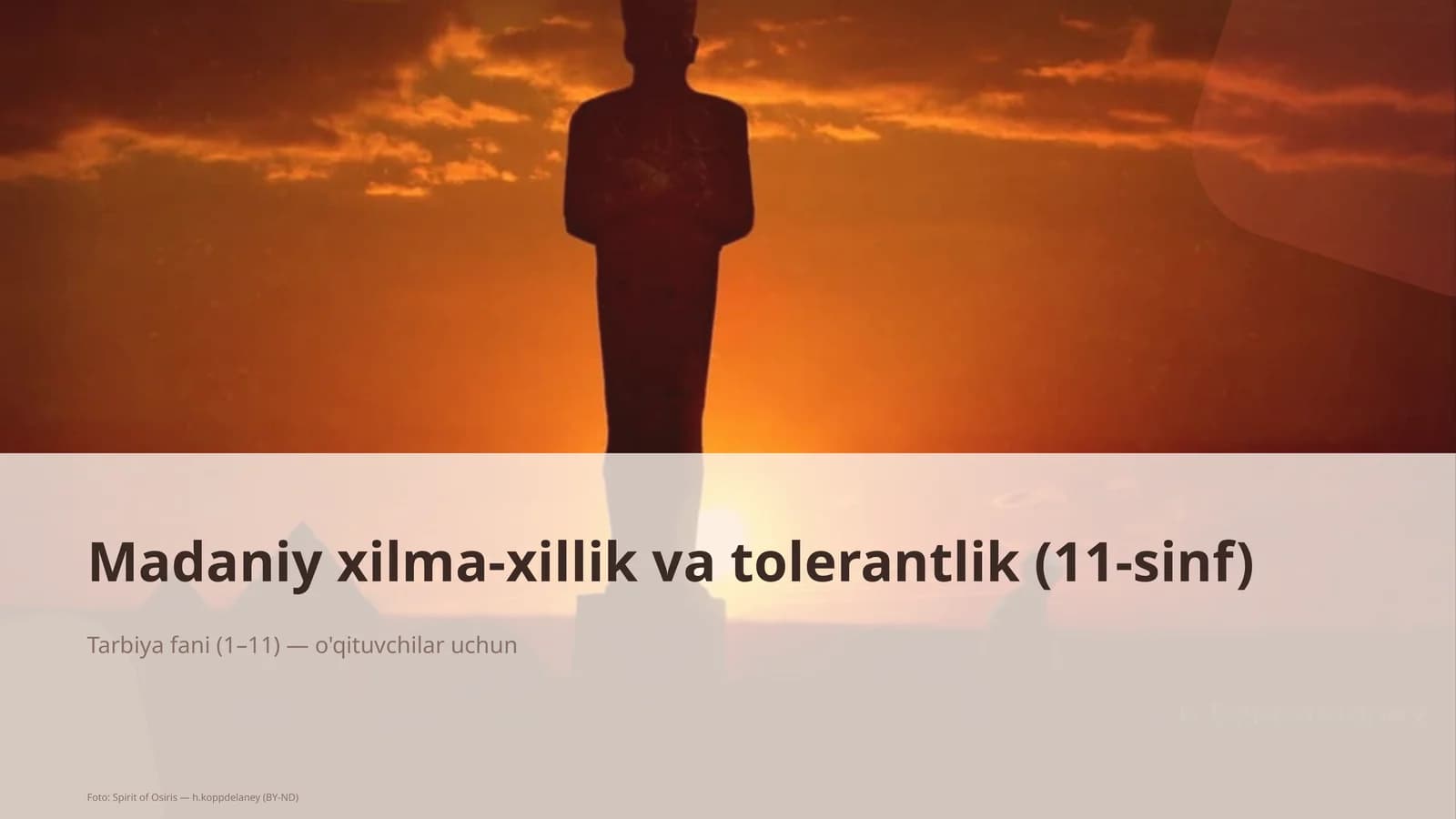 Madaniy xilma-xillik va tolerantlik (11-sinf)