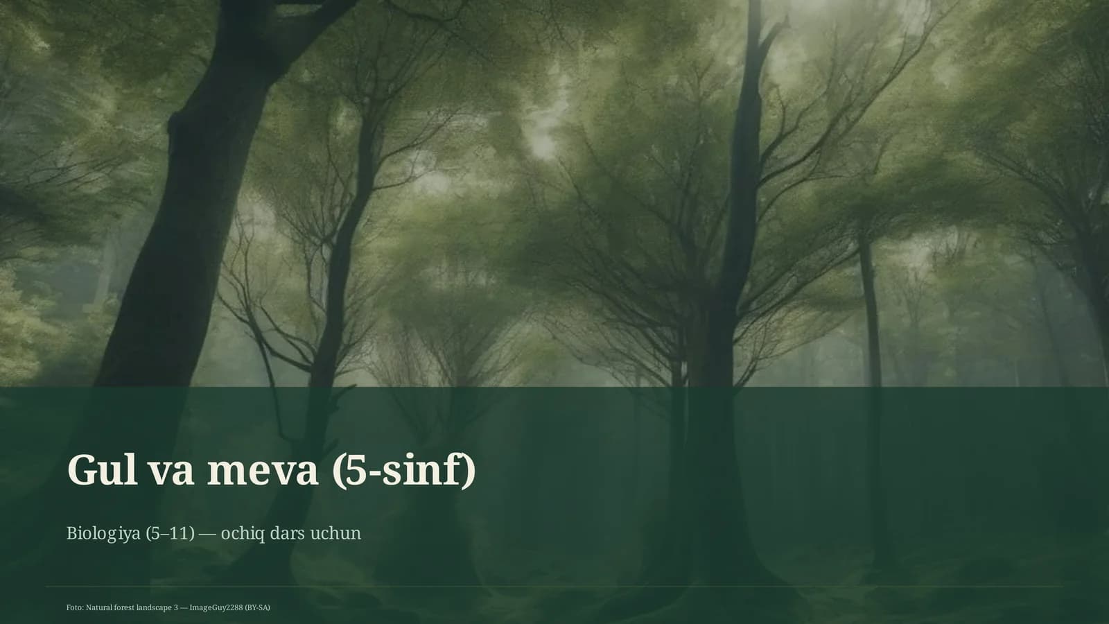 Gul va meva (5-sinf)