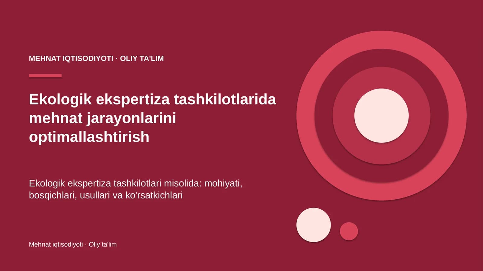 Ekologik ekspertiza tashkilotlarida mehnat jarayonlarini optimallashtirish