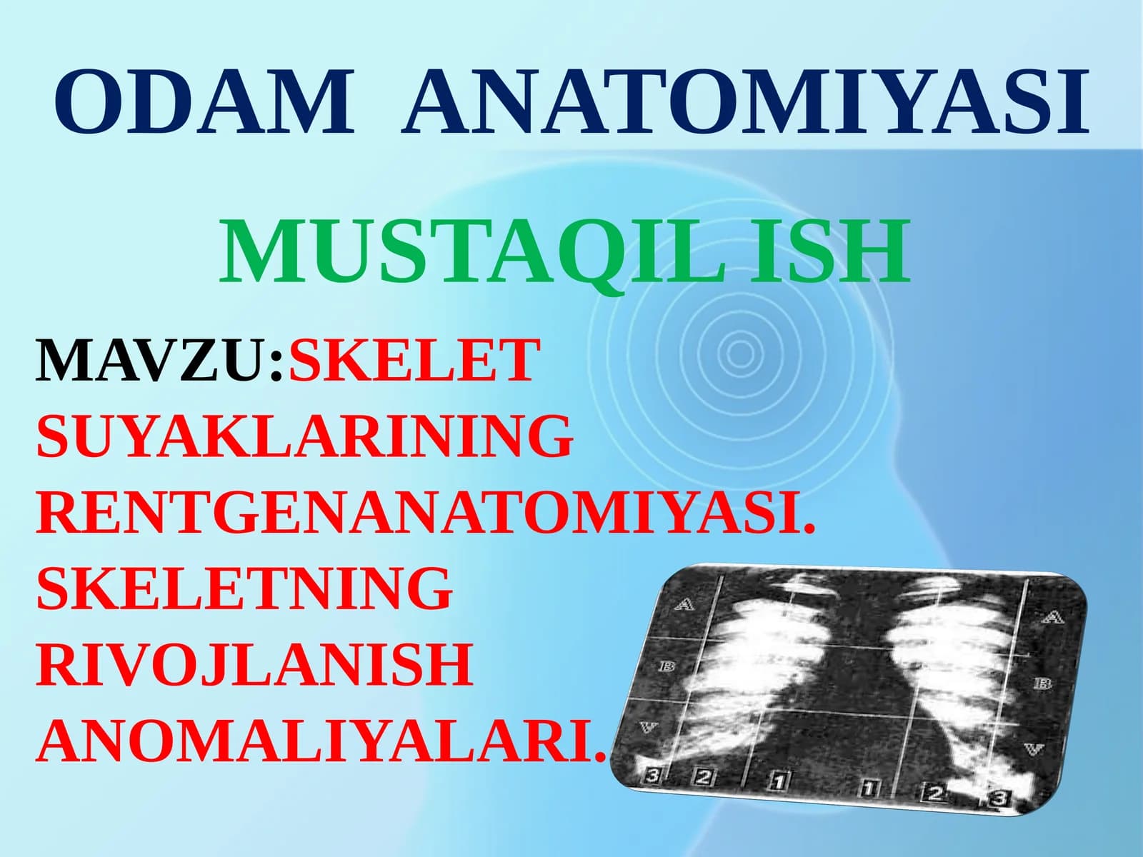 ODAM ANATOMIYASI