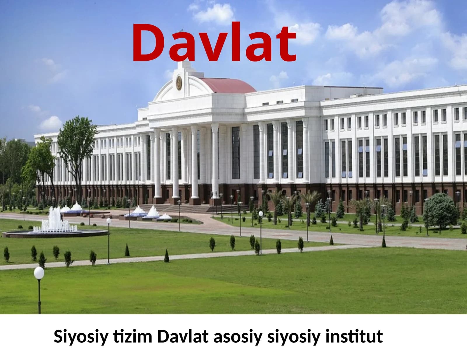 Siyosiy tizim Davlatasosiysiy institut