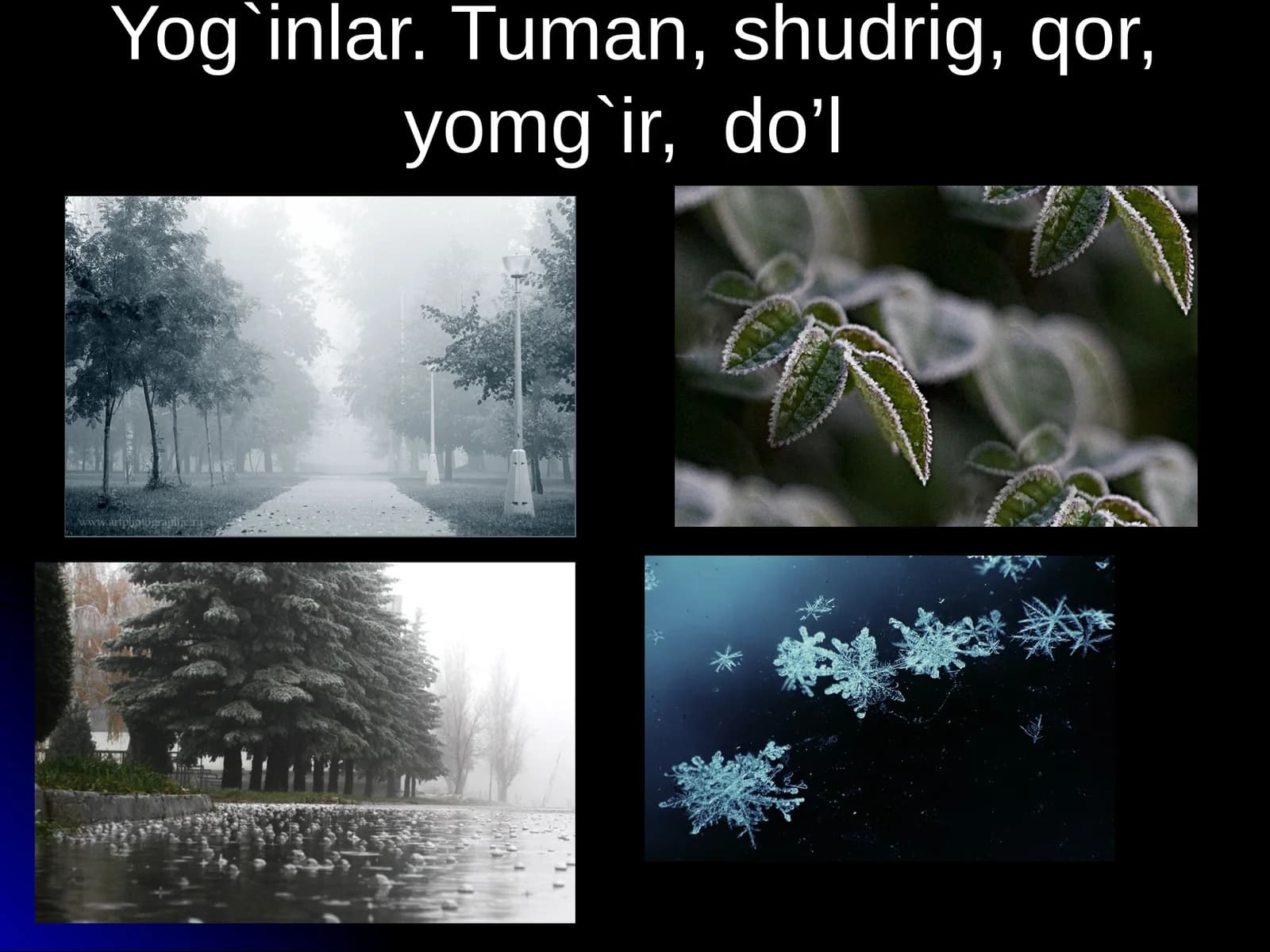 Tuman