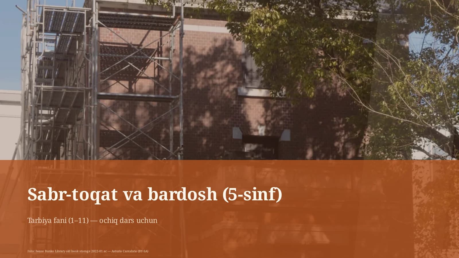 Sabr-toqat va bardosh (5-sinf)