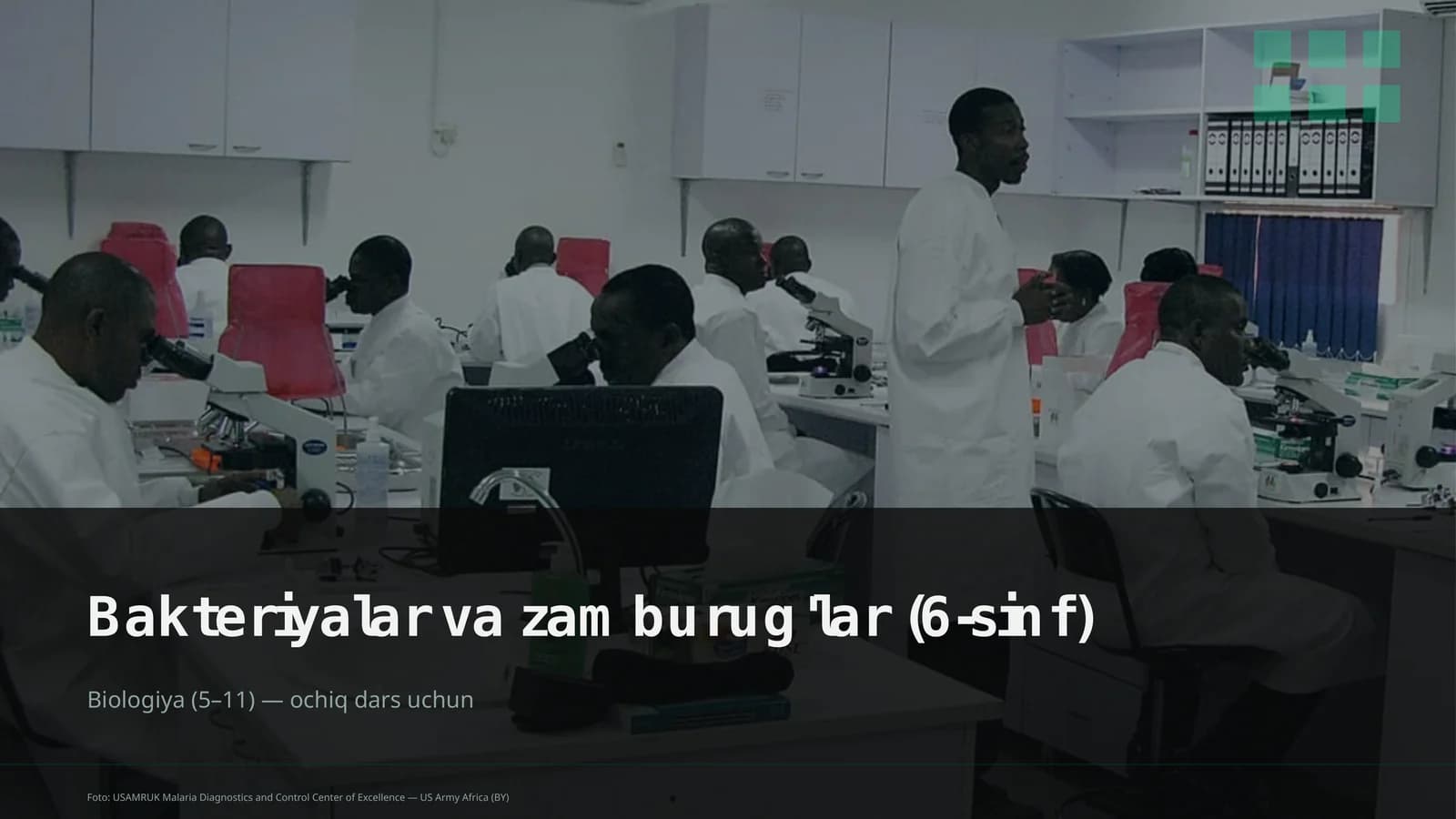 Bakteriyalar va zamburug'lar (6-sinf)
