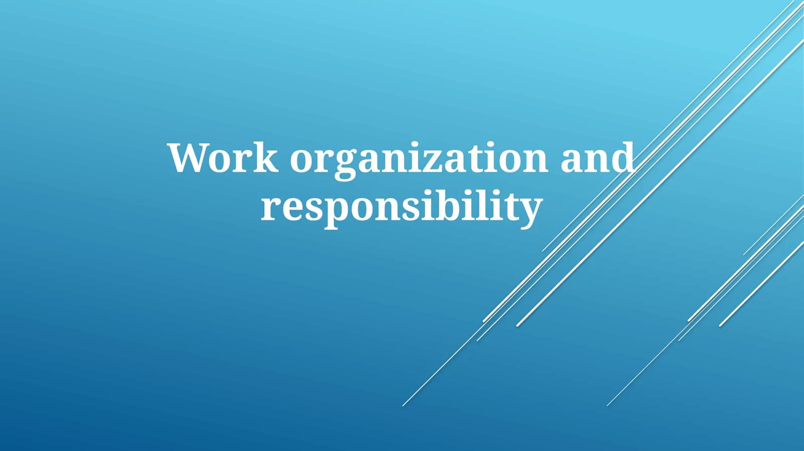 Work Organization And Responsibility