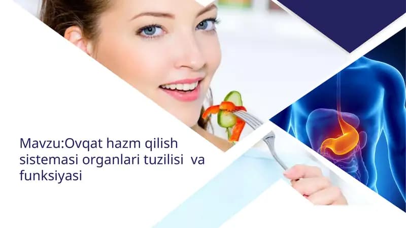 OVQAT HAZM QILISH SISTEMASI VA VAZIFALARI