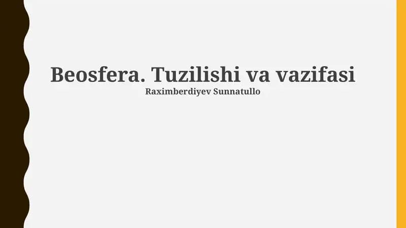 Beosfera. Tuzilishi va vazifasi