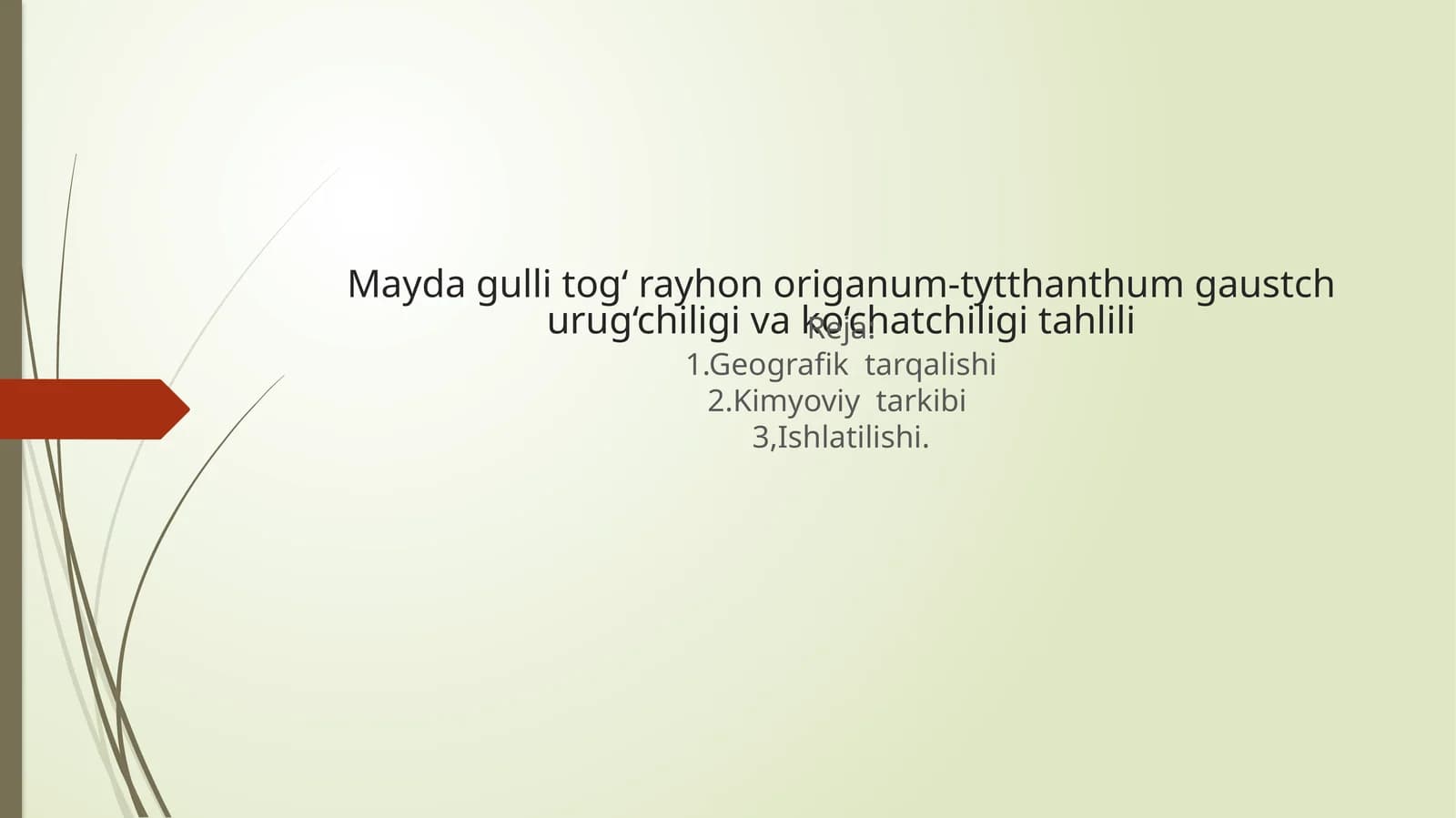 Mayda gulli tog‘ rayhon origanum-tytthanthum gaustch urug‘chiligi va ko‘chatchiligi tahlili