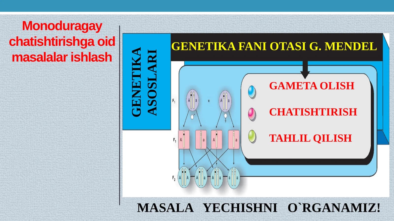 GENETIKADAN MASALA ISHLASH