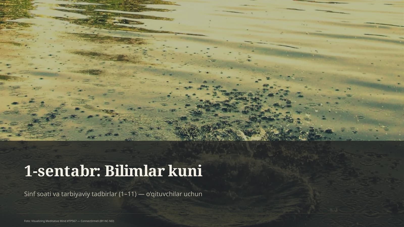 Bilimlar kuni
