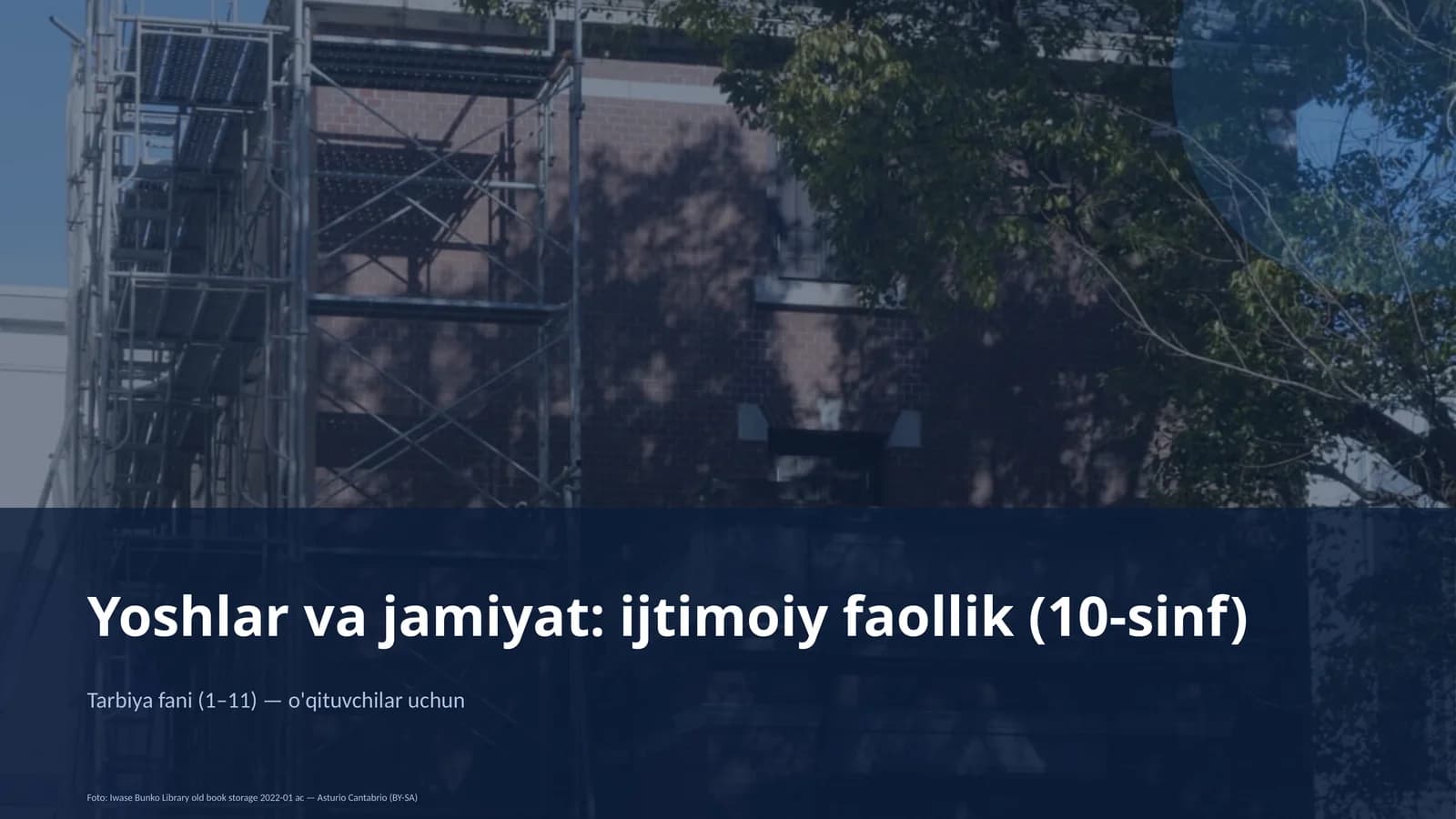 Yoshlar va jamiyat: ijtimoiy faollik (10-sinf)