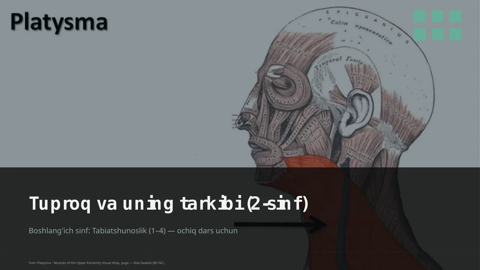 Tuproq va uning tarkibi (2-sinf)