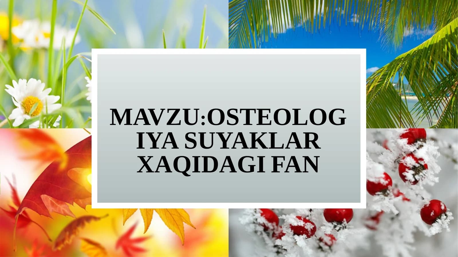 OSTEOLOGIYA SUYAKLAR XAQIDAGI FAN