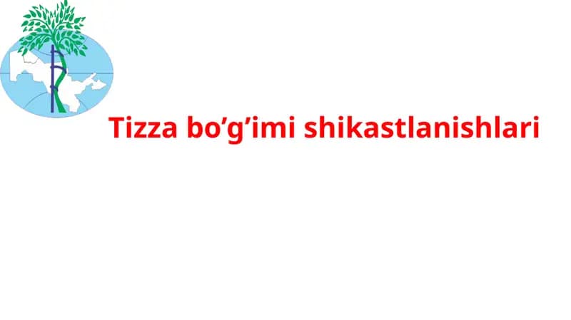Tizza bo’g’imi shikastlanishlari