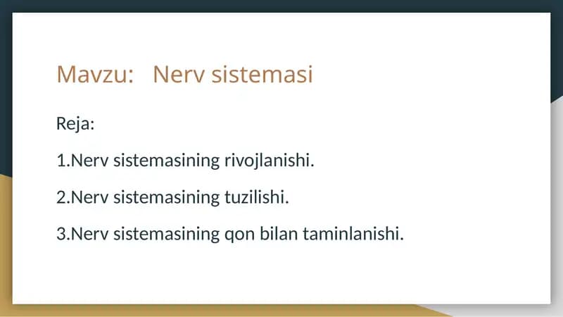 Nerv sistemasi