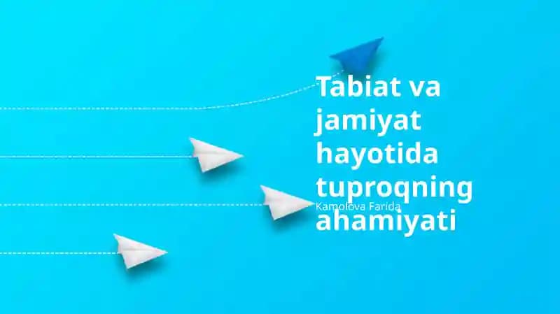 Tuproqning Ekosistemalardagi Muhim Vazifalari