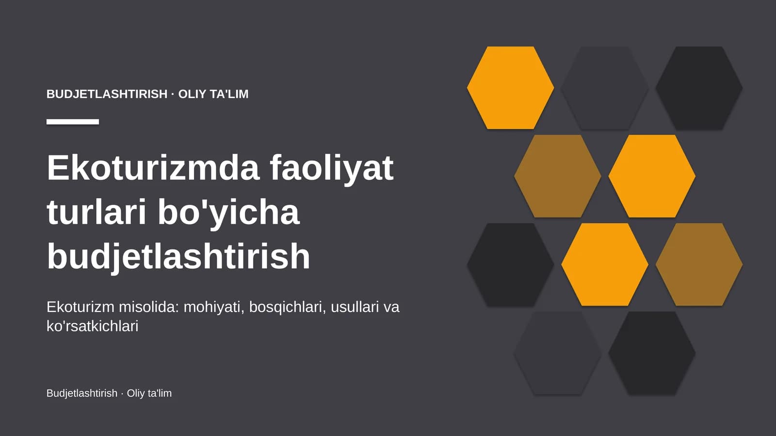 Ekoturizmda faoliyat turlari bo'yicha budjetlashtirish