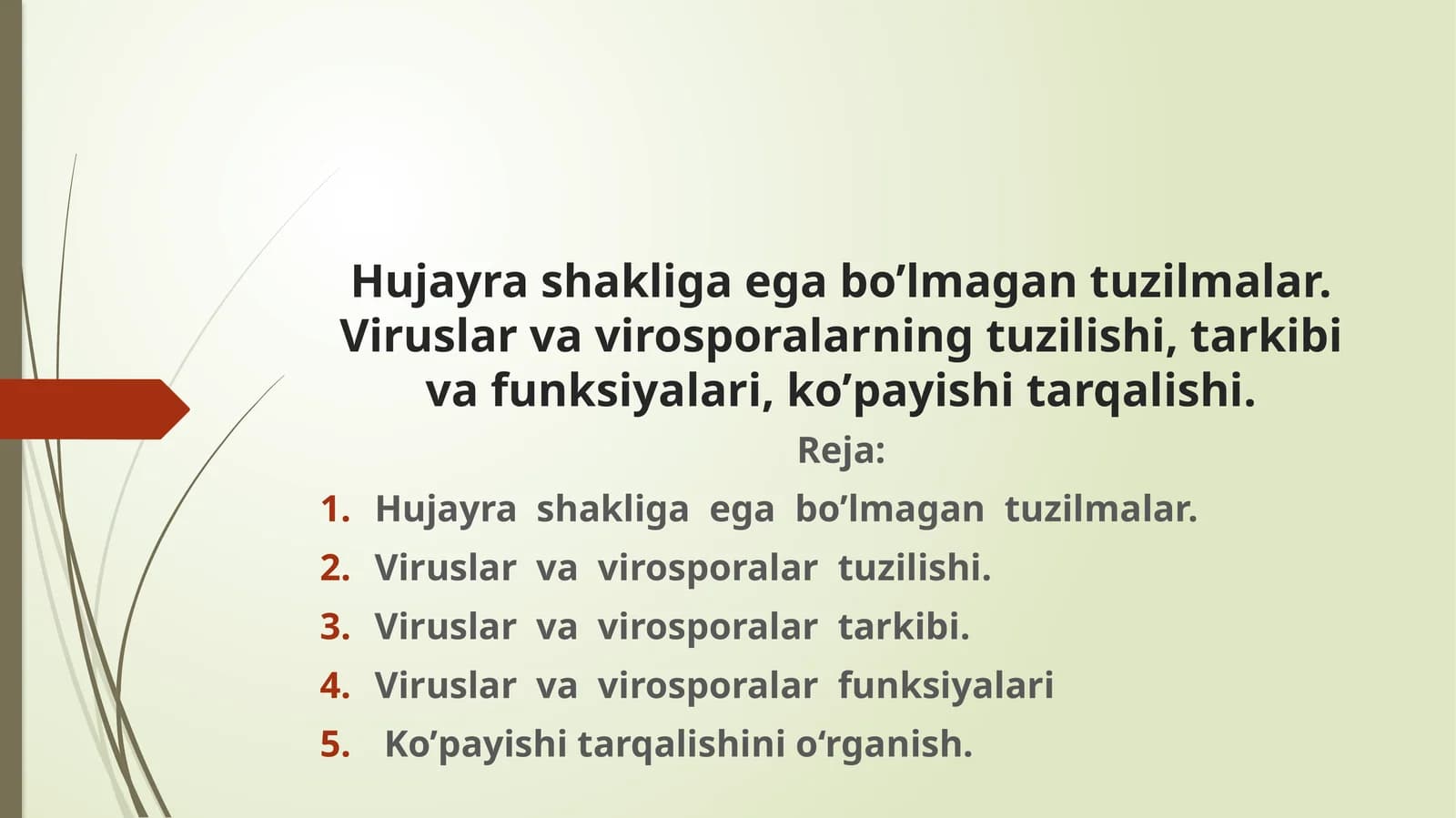 Viruslar va virosporalar tuzilishi