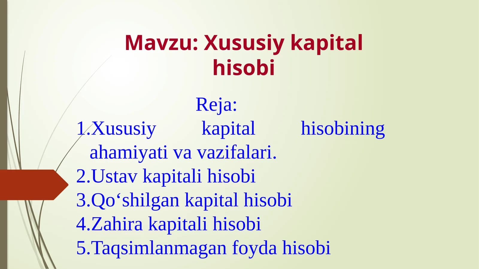 Xususiy kapital hisobi