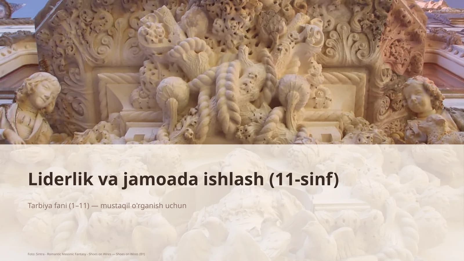 Liderlik va jamoada ishlash (11-sinf)