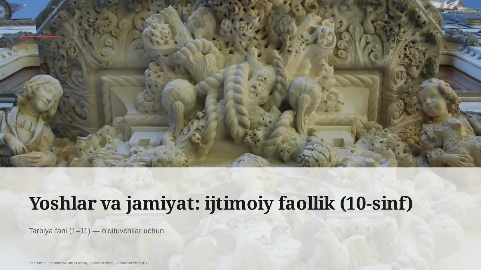 Yoshlar va jamiyat: ijtimoiy faollik (10-sinf)