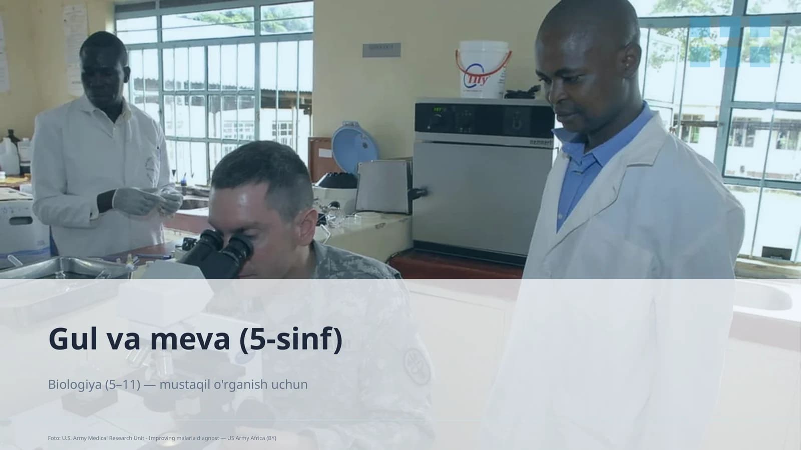 Gul va meva (5-sinf)