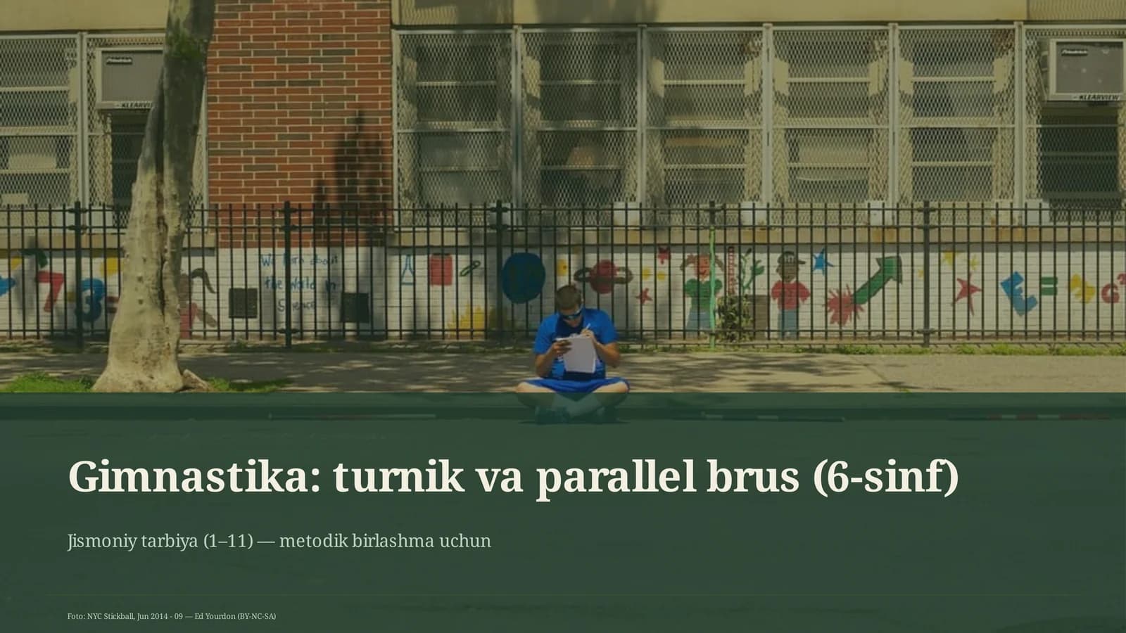 Gimnastika: turnik va parallel brus (6-sinf)