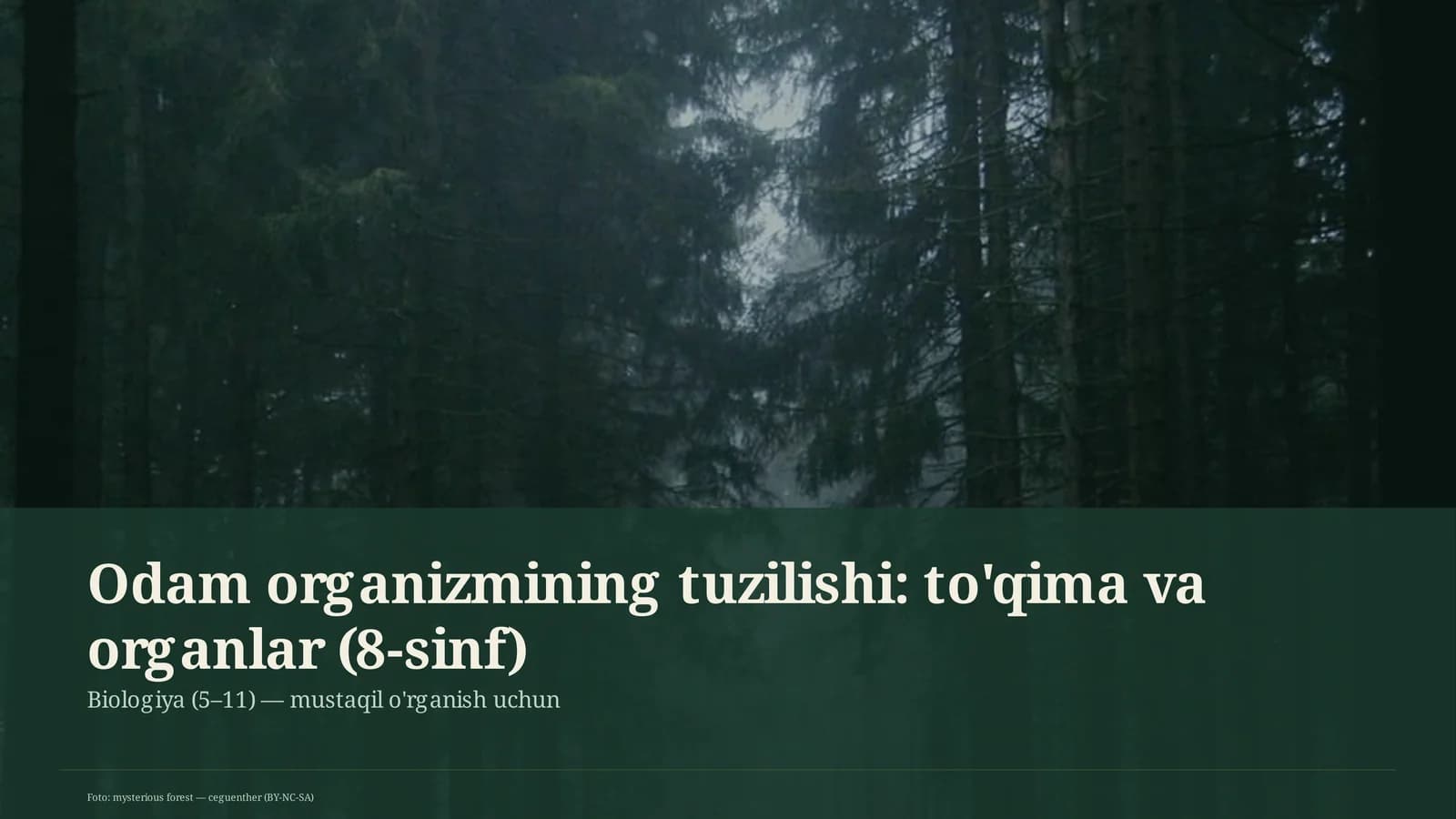 Odam organizmining tuzilishi: to'qima va organlar (8-sinf)