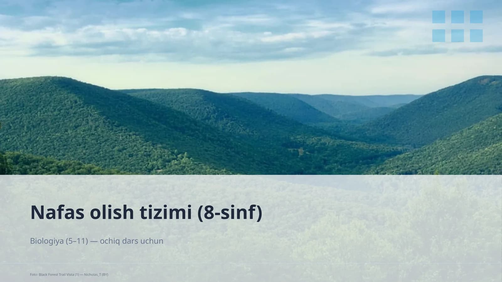 Nafas olish tizimi (8-sinf)
