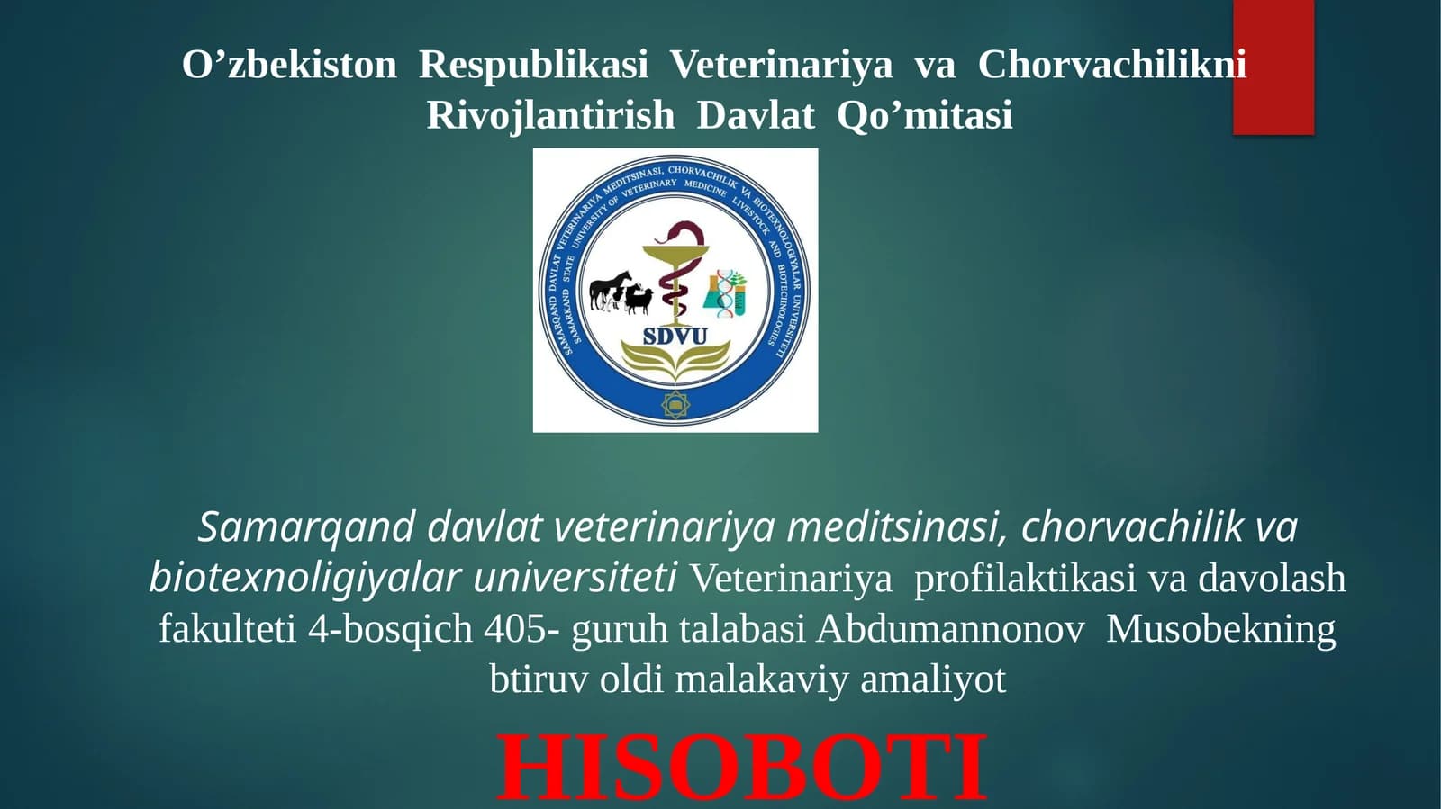 btiruv oldi malakaviy va amaliyot hisoboti