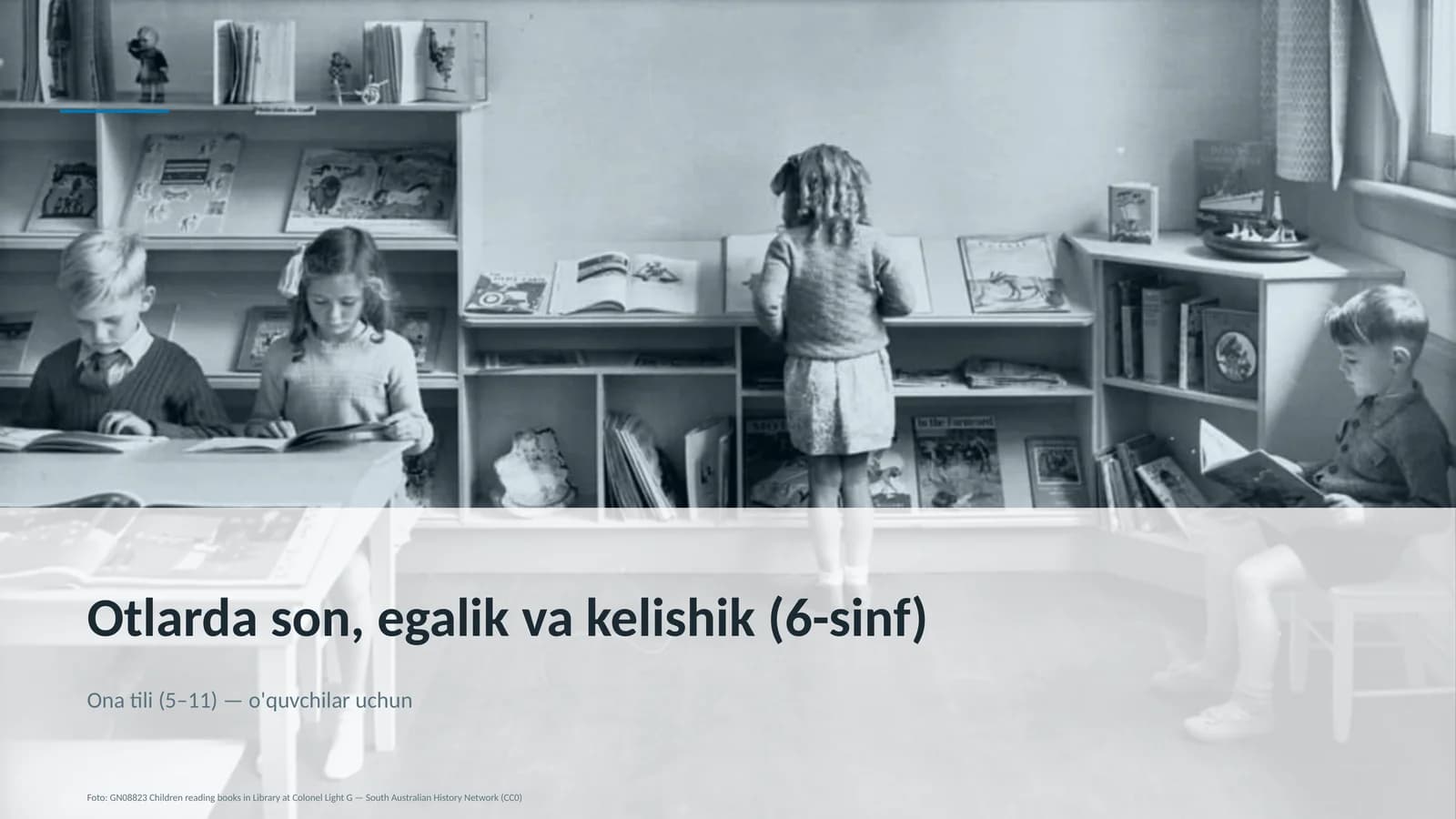 Otlarda son, egalik va kelishik (6-sinf)