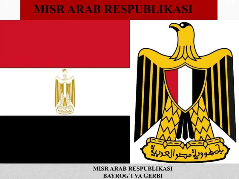 Misr arab respublikasi