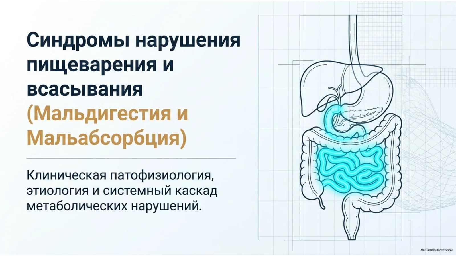 Ппт по теме жкт:Синдром мальдегистии