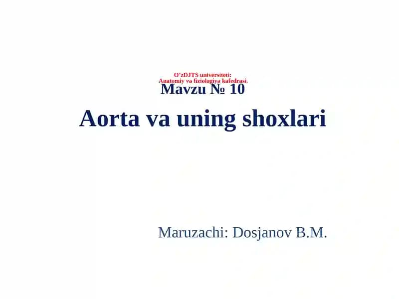 Aorta va uning shoxlari