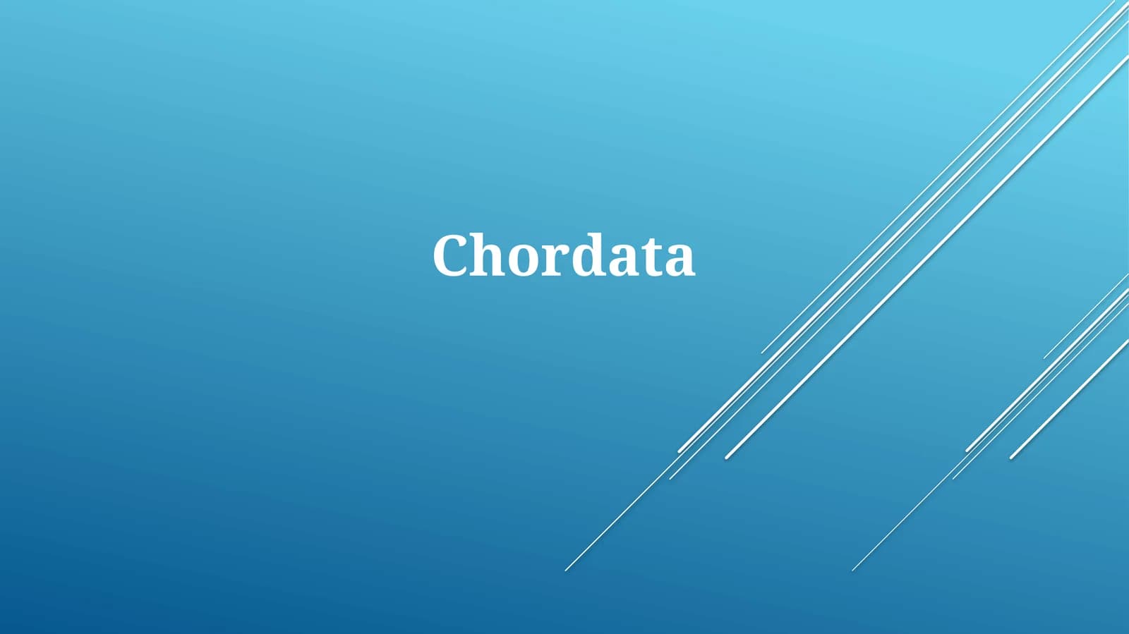 Chordata