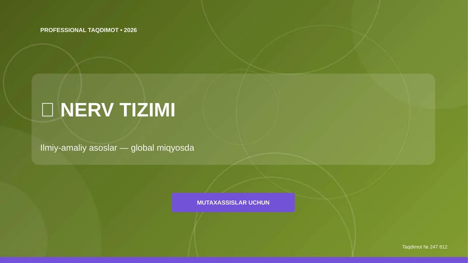 PROFESSIONAL TAQDIMOT • 2026