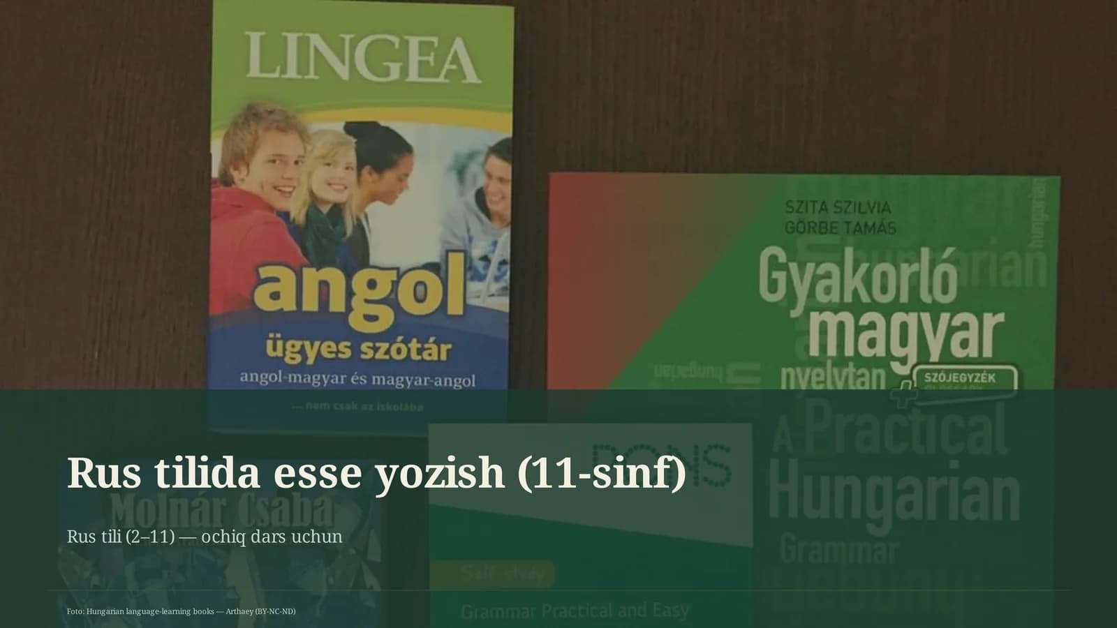 Rus tilida esse yozish (11-sinf)