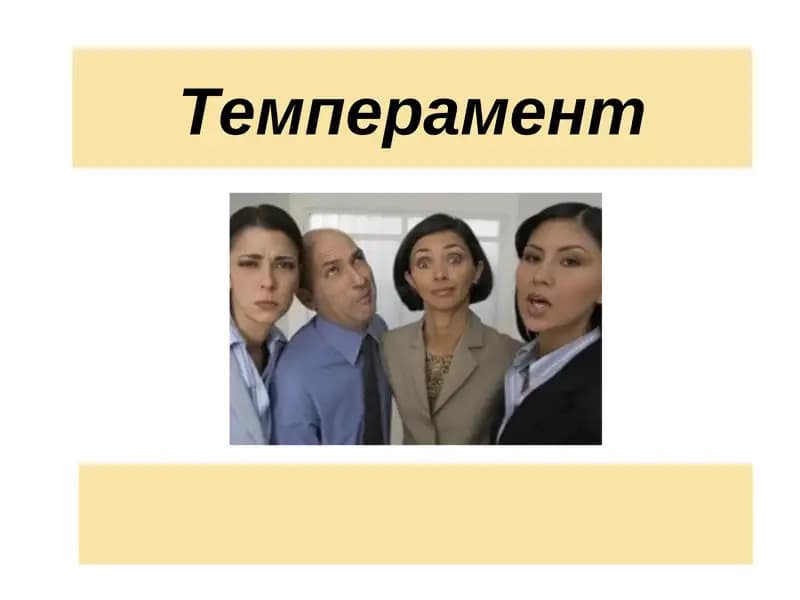 Темперамент