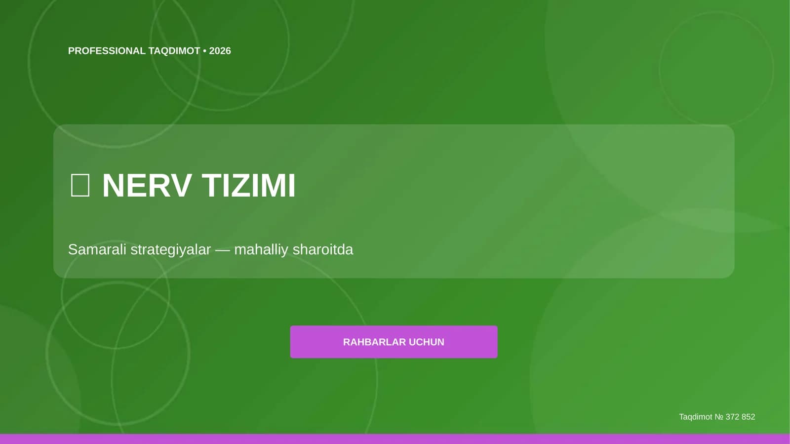 PROFESSIONAL TAQDIMOT • 2026